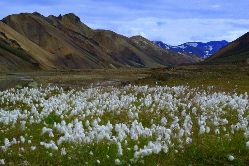 landmannalaugar