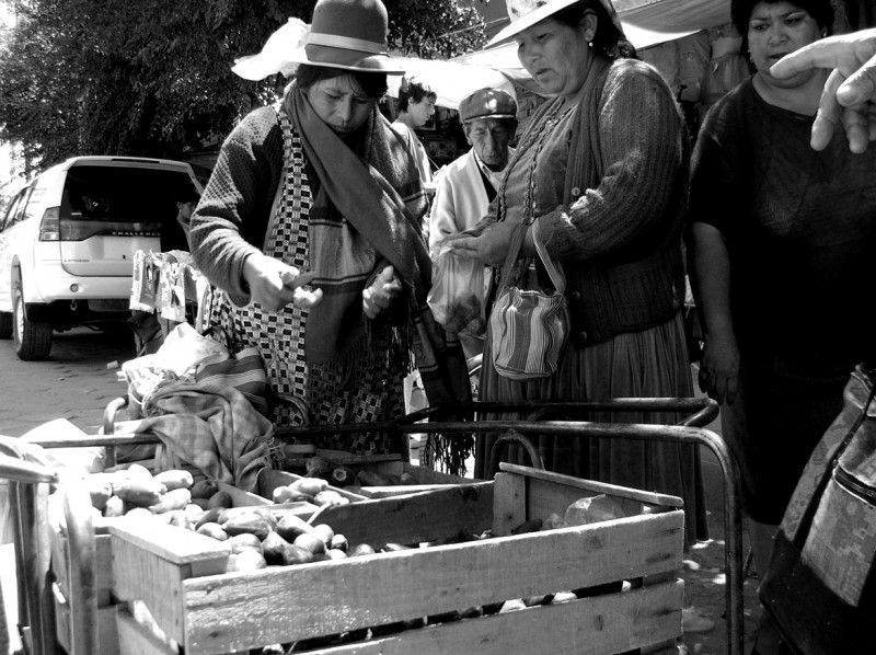 Mercado de Altiplano