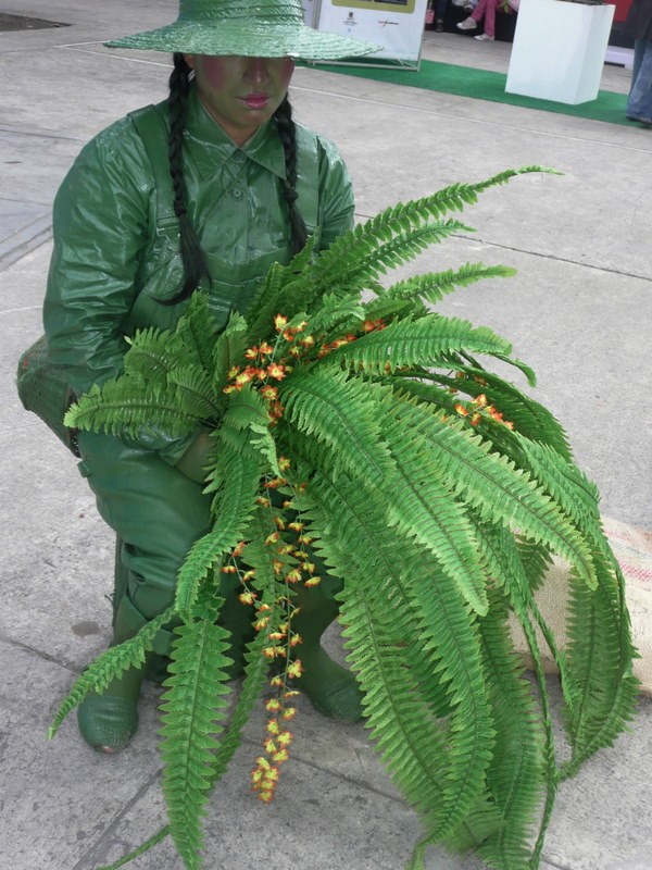 Mujer verde