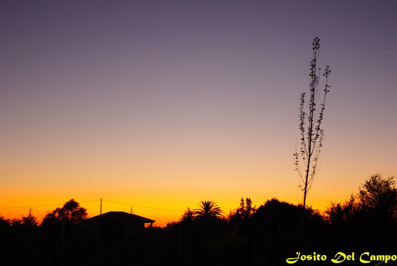 Atardecer anaranjado