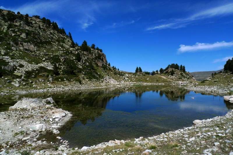 estany Forcat