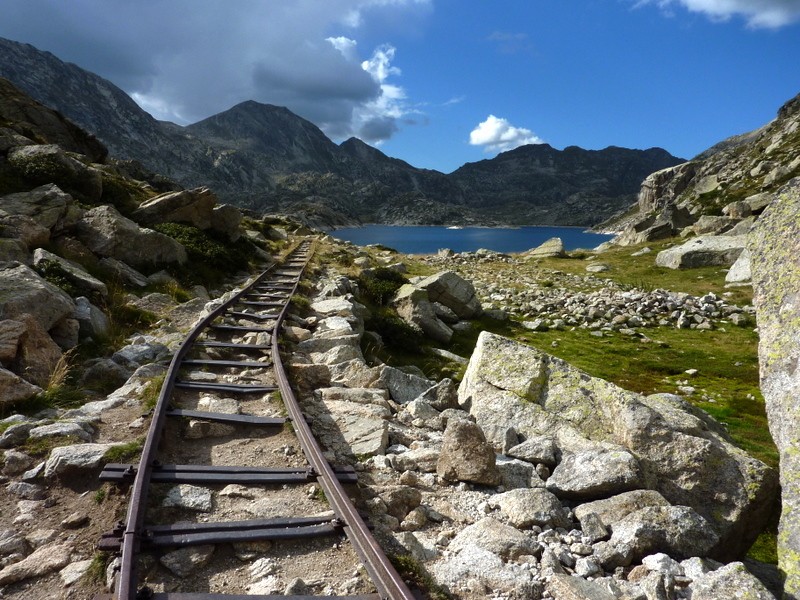 el tren de la vida