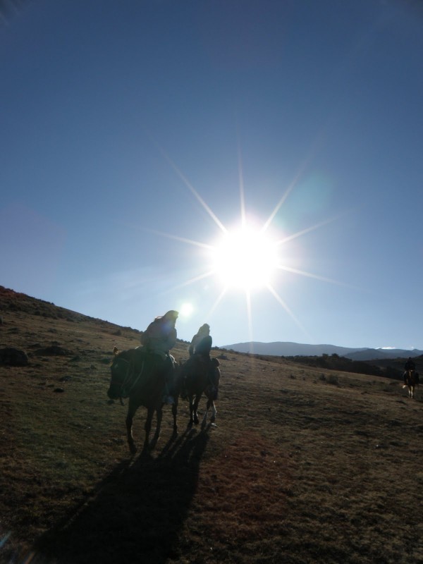 Por la manchega llanura