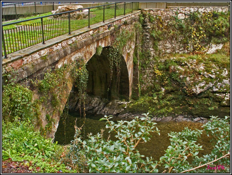 El puente verde