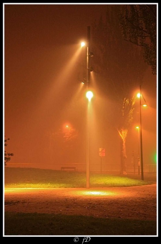 LUCES EN LA NIEBLA