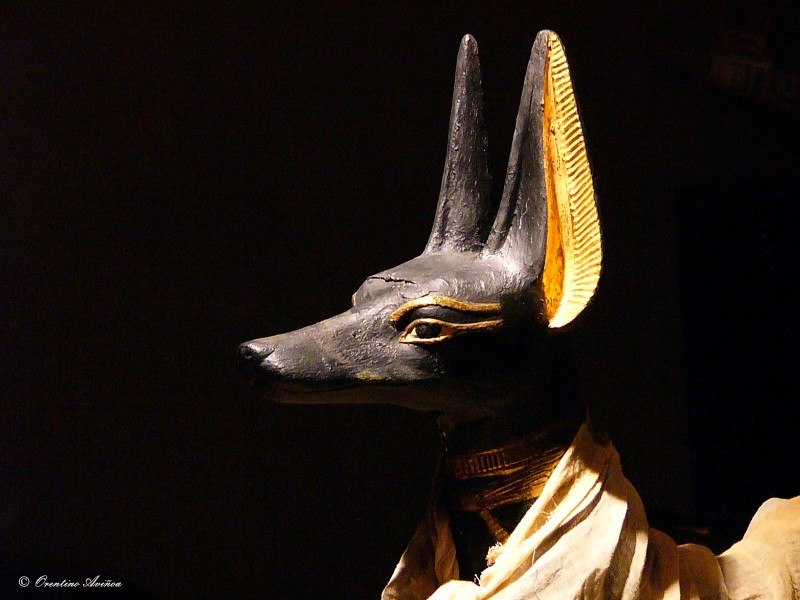 El lado bueno de Anubis