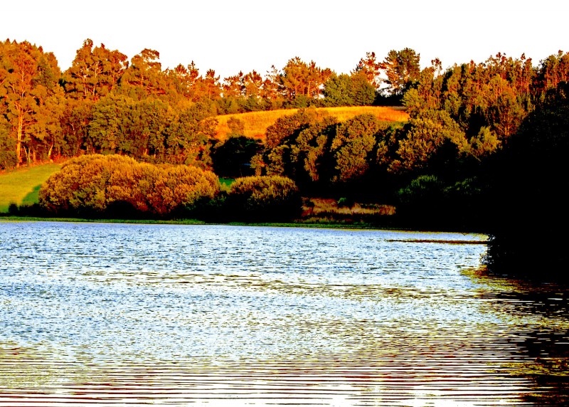 lago al atardecer