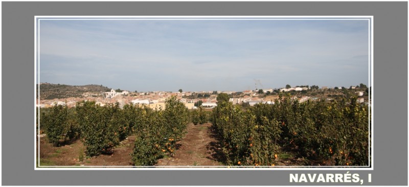 Navarrs desde las plantaciones de kakis