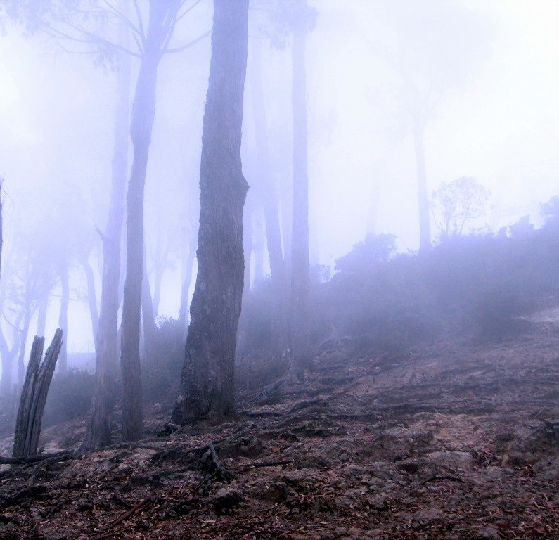 Cerro de Monserrate