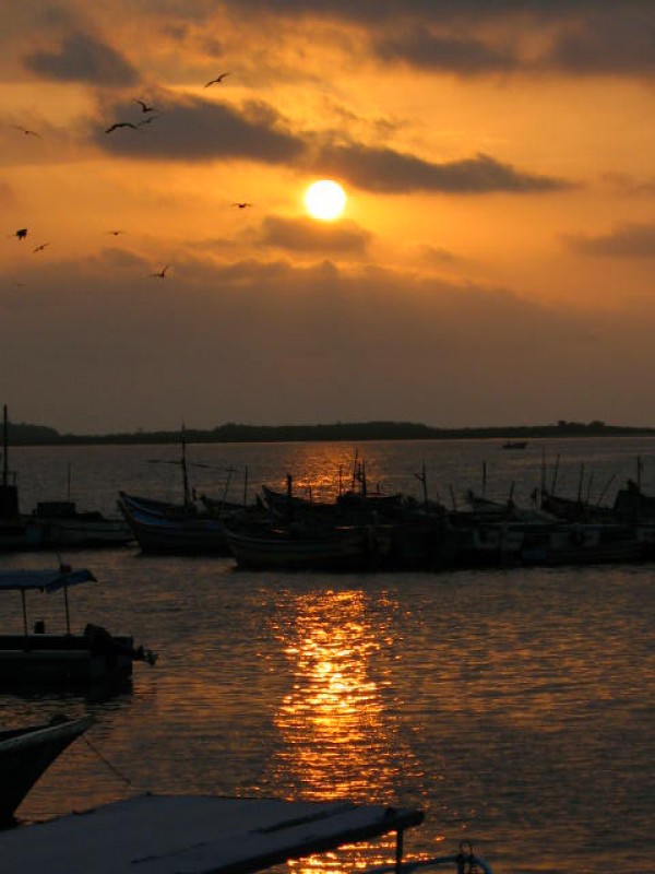 Puerto Pizarro