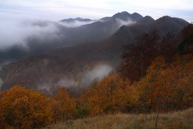 paisaje con niebla