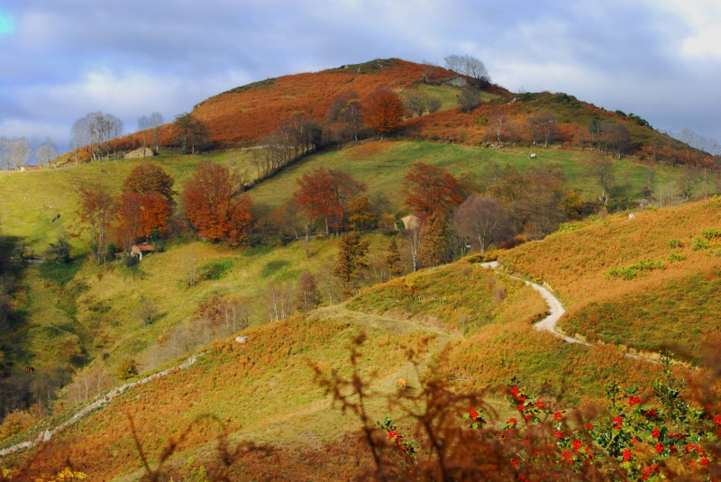 paisaje otoal