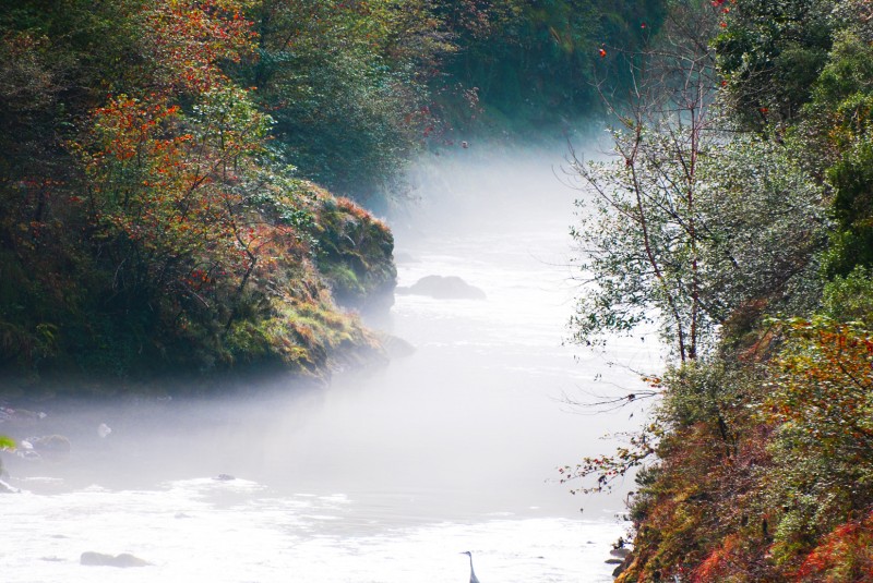 niebla en el rio