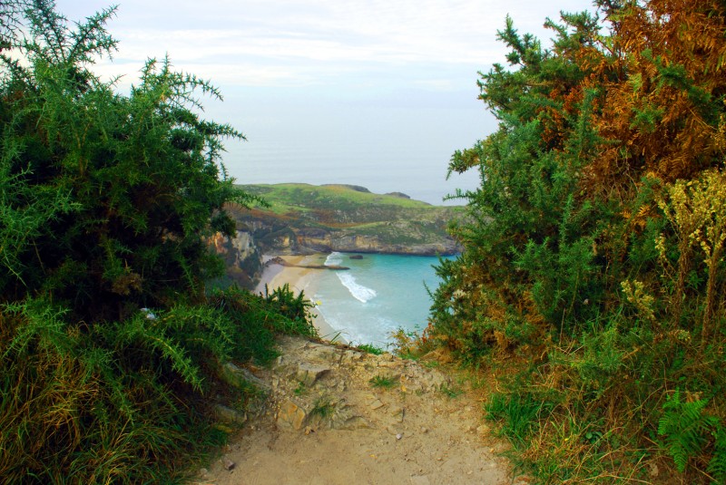 playa de ballota