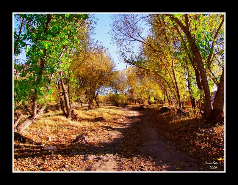 paisaje otoal