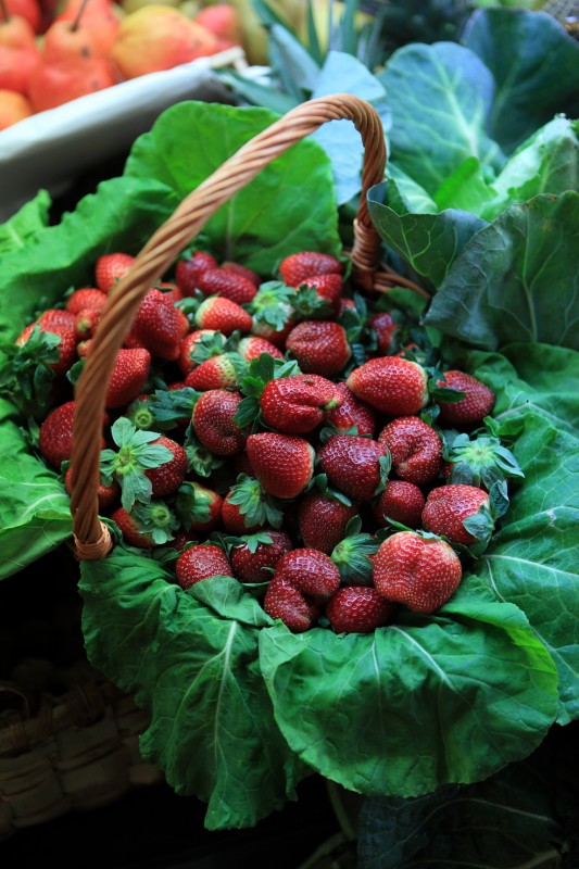 Fresas de invierno