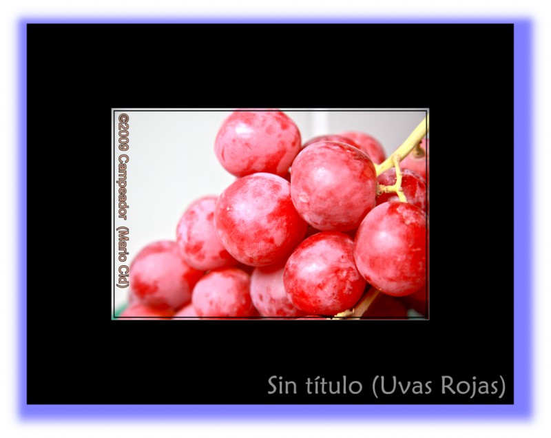 Sin ttulo (Uvas Rojas)