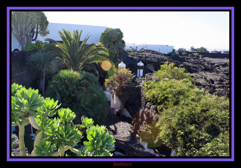 Jardn de la Fundacin Cesar Manrique