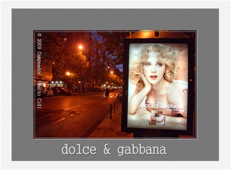 Rose the One - DOLCE & GABBANA