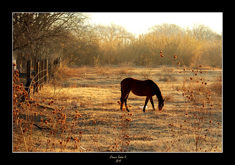 paisaje pintoresco