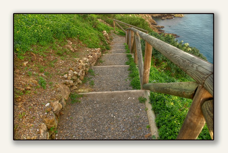 Buscando el mar