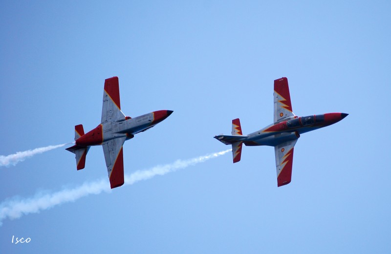 Patrulla guila VII