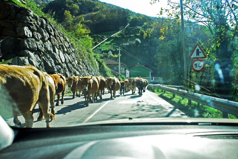 invasion en la calzada