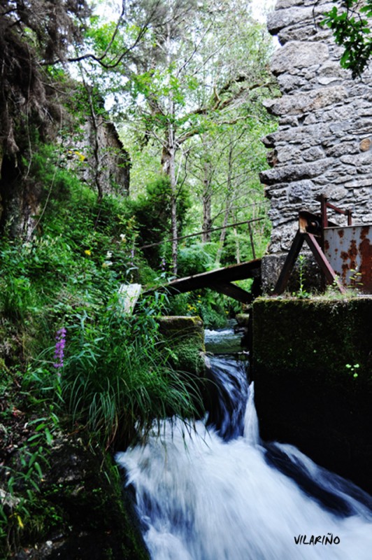 MOLINO DE AGUA