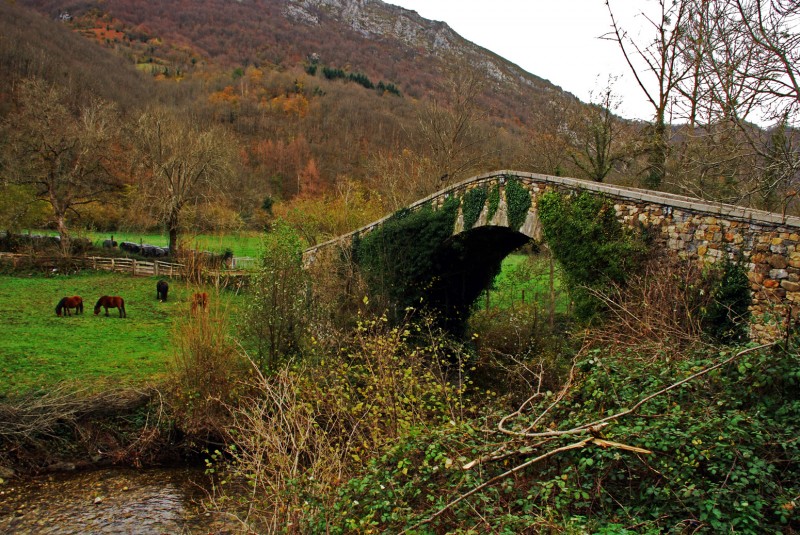 puente y paisaje