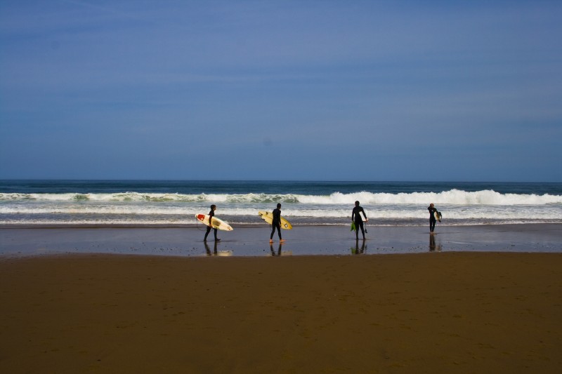 Surfistas