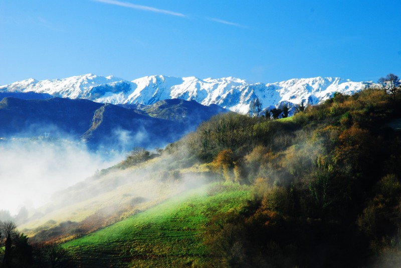 verde monte y blanca montaa