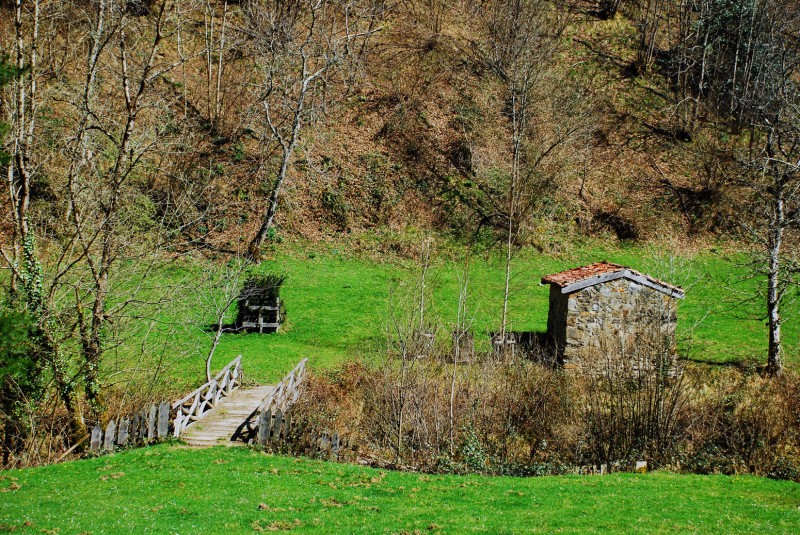 cabaa y puente