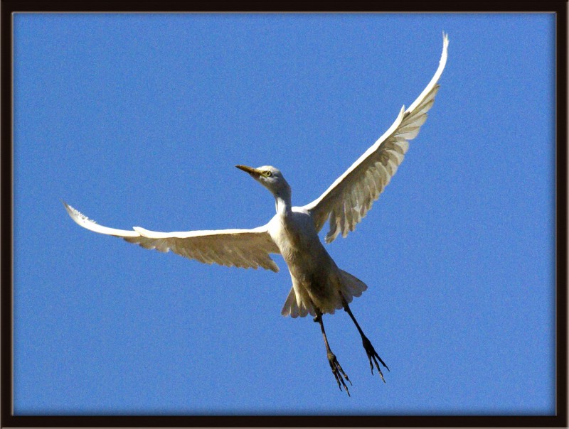 Iniciando el vuelo