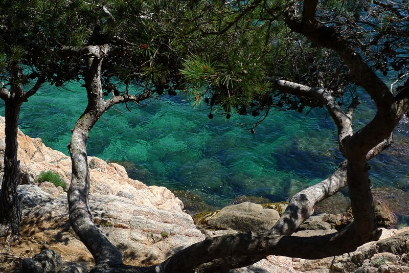 cala Estreta