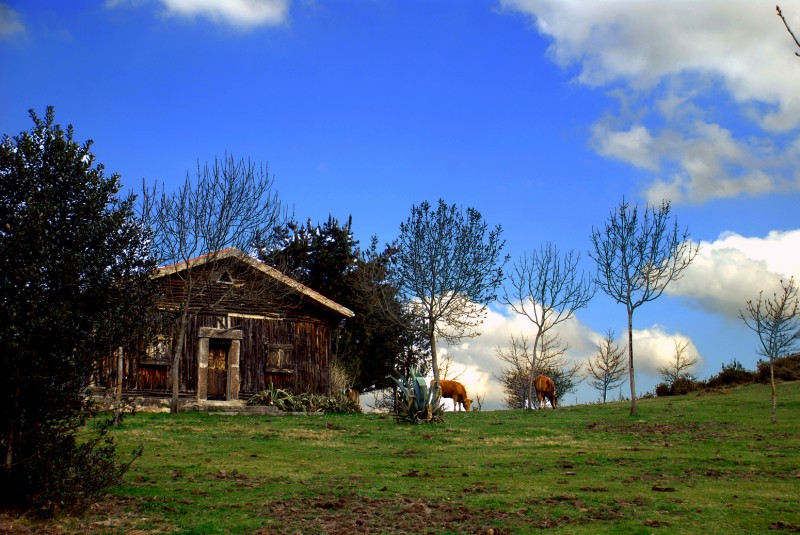 cabaa en primavera