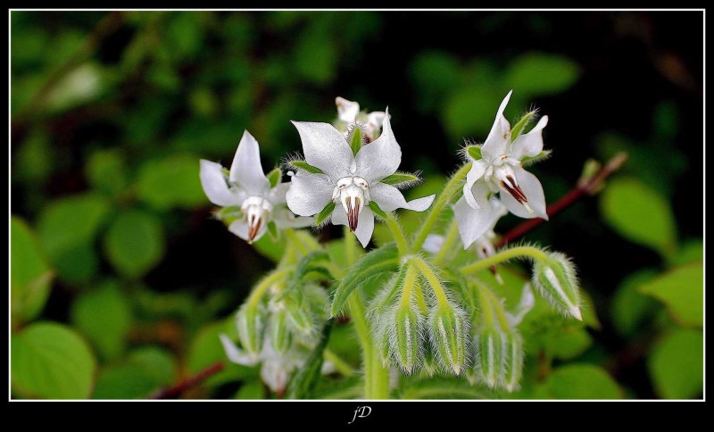 BELLEZA ESCONDIDA