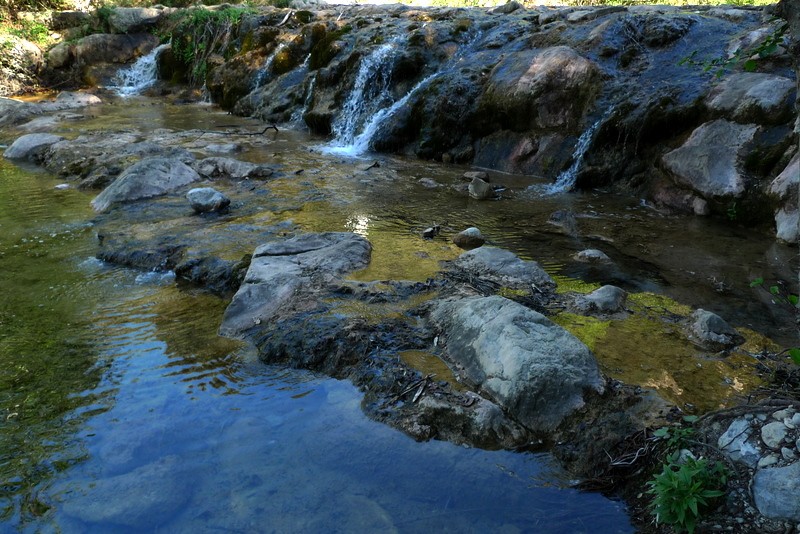 riera Sant Aniol