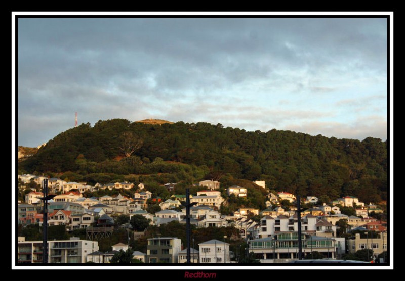 Suburbios de Wellington