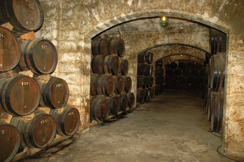 Bodegas