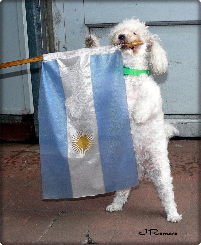 200 aos - Bicentenario de la Patria.