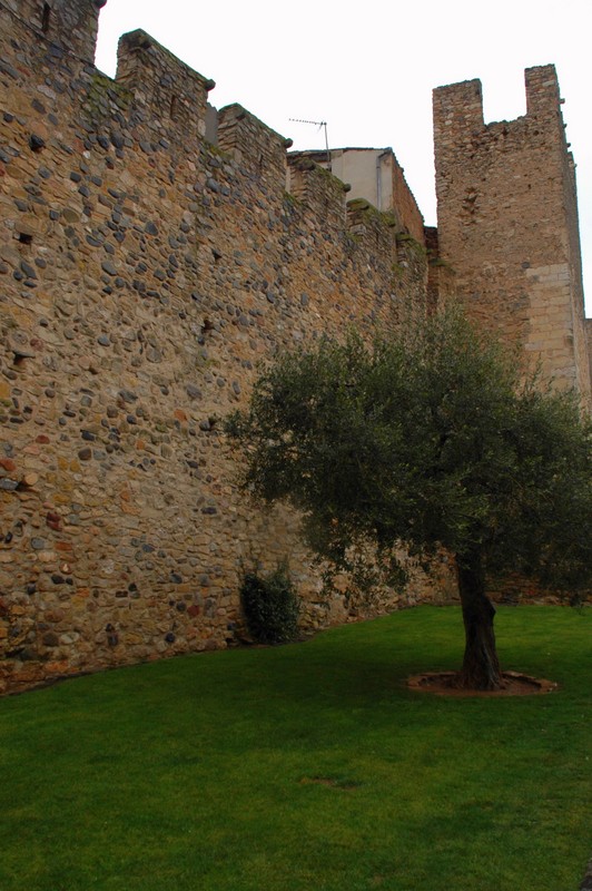 Muralla 2