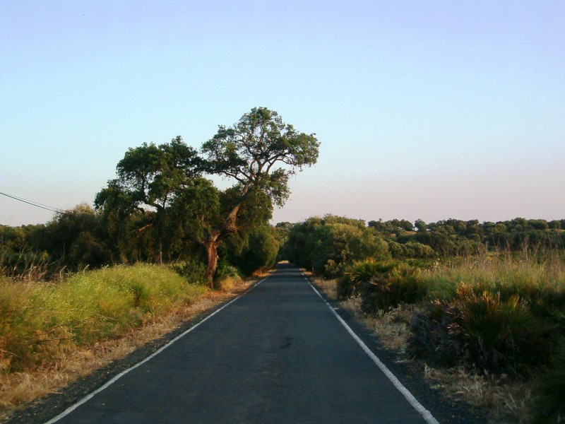 Carretera de Almenara