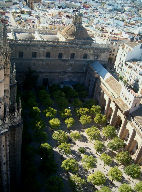 Patio de los Naranjos