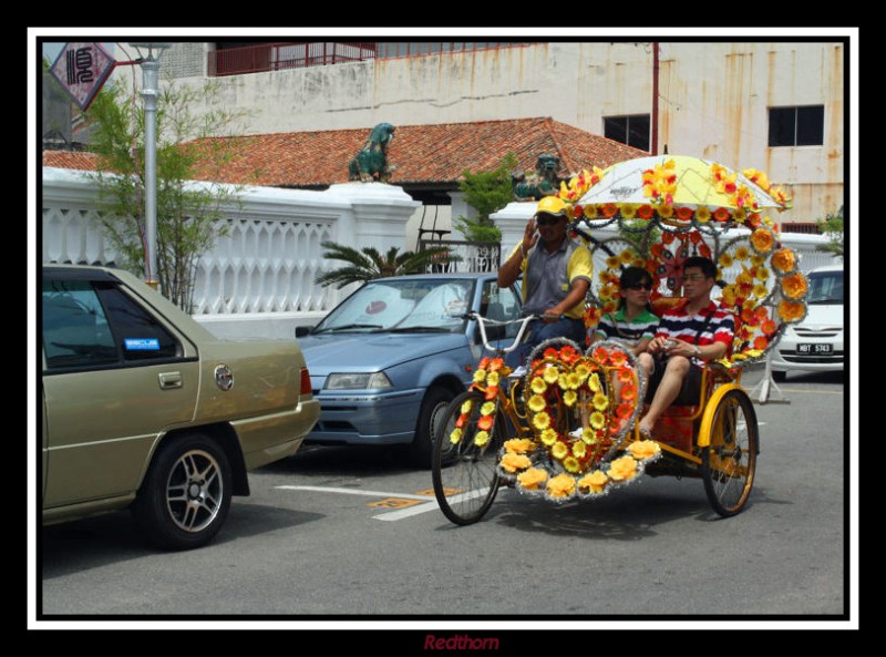 Rickshaw exuberante de adornos