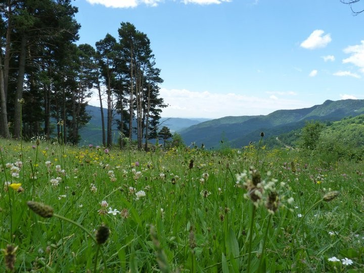 encanto del pirineo