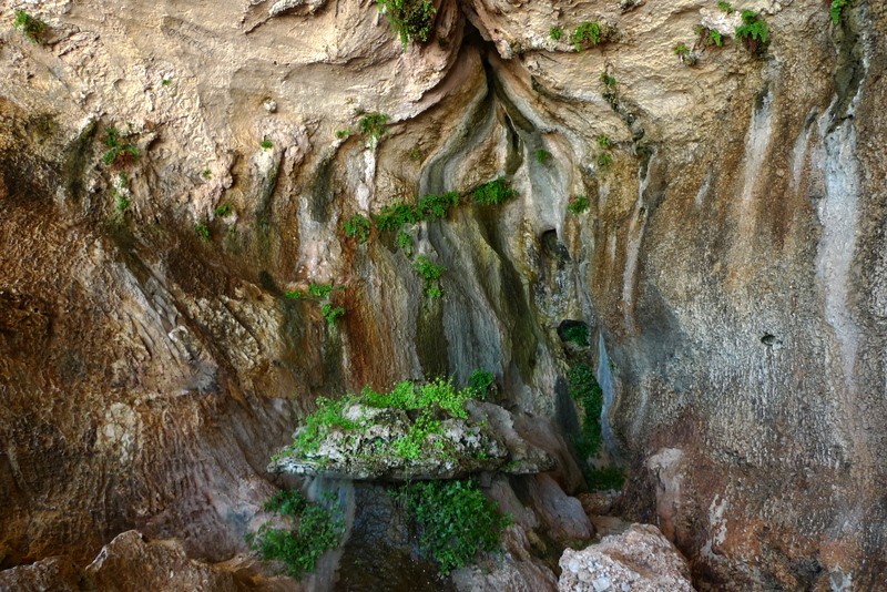 cueva dei gaviani