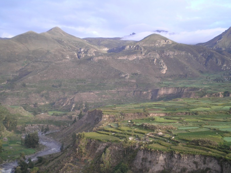 valle del colca 1