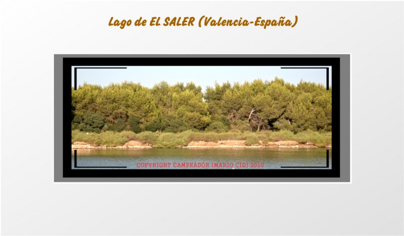 Lago de El Saler (Valencia - Espaa)