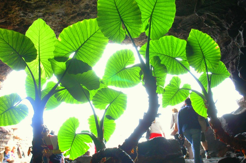 salida de la cueva