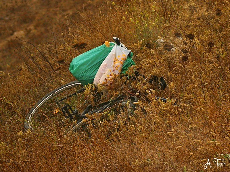 Bicicleta1